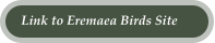 Link to Eremaea Birds Site